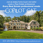 Kenneth Cameron - CoPilot Cat, We build brand w/ response boosting bespoke items (CoPilot Cat)