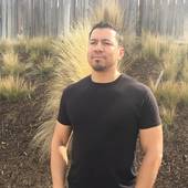 Tony Saucedo, Tree Services In San Luis Obispo County (Tree Trimming In SLO)