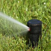 Blane Callen, Owner - CMG Sprinkler and Drains (CMG Sprinklers and Drains)