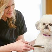 Chris Horowitz, I Am Animals doctor.Check out some good tips relat (Zenith)