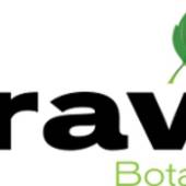 kraven kratom, Our products include Kratom Capsules & Powder (Kravekratom)
