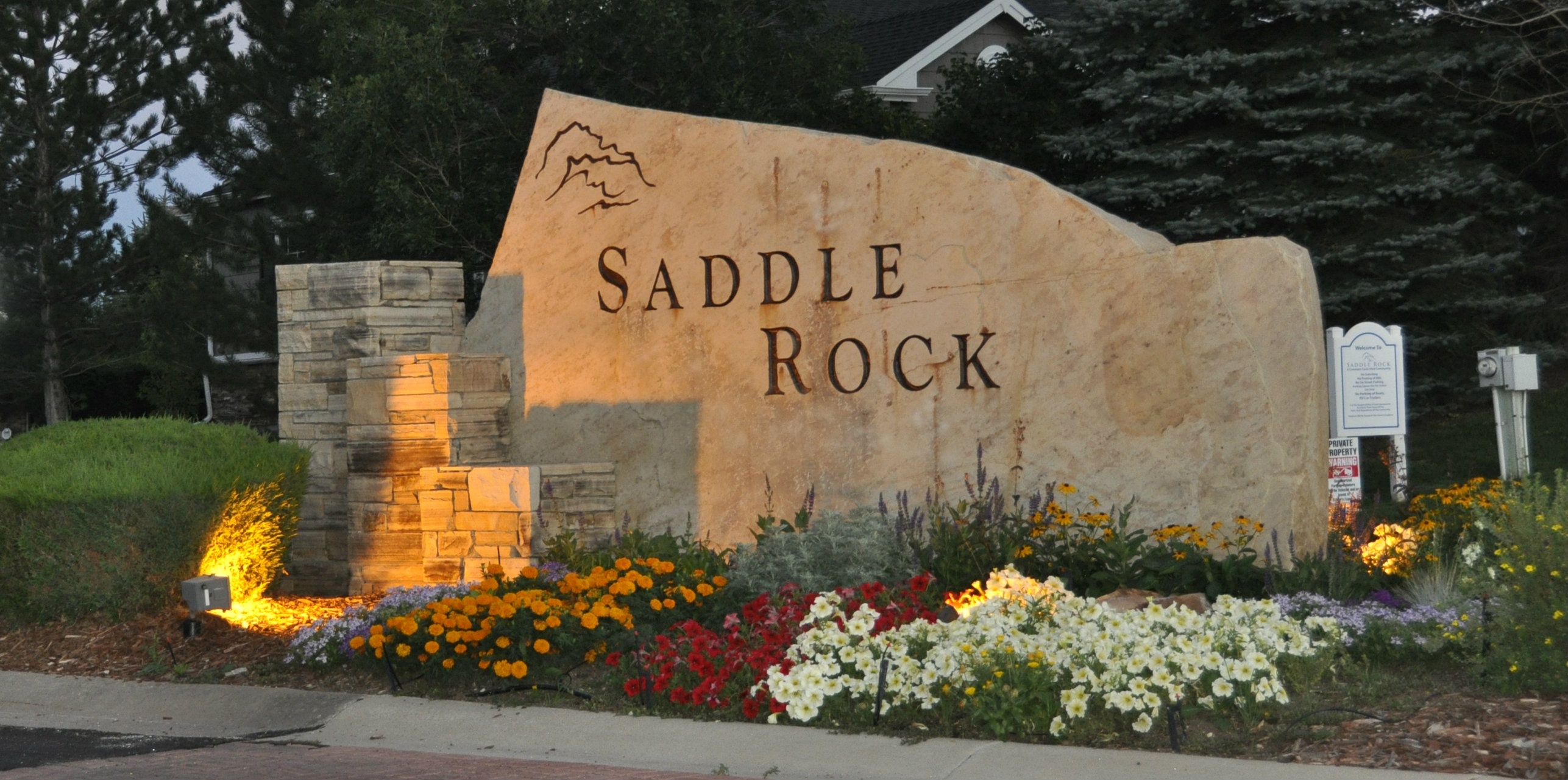 It's My Turn To Step Up and Volunteer