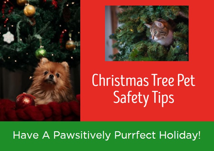Christmas_tree_pet_safety_tips_2021.jpg