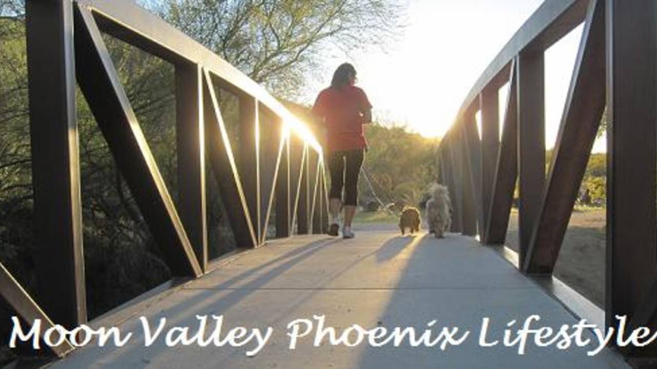Moon-Valley-Phoenix-Lifestyle-walking-dog-on-bridge.jpg