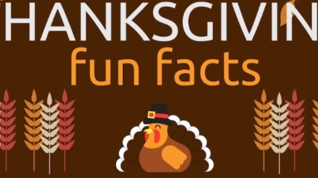 thanksgiving_fun_facts_banner.jpg
