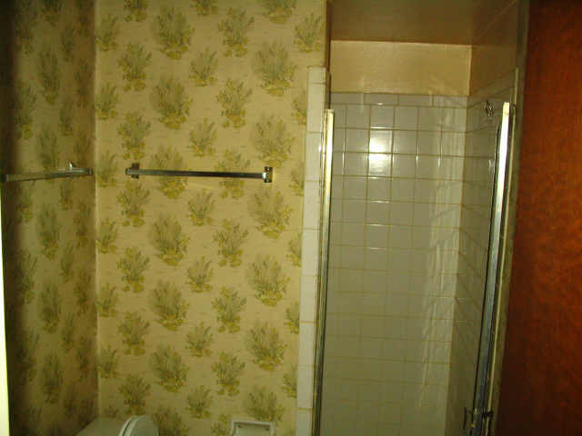 Green_dated_bathroom.jpg