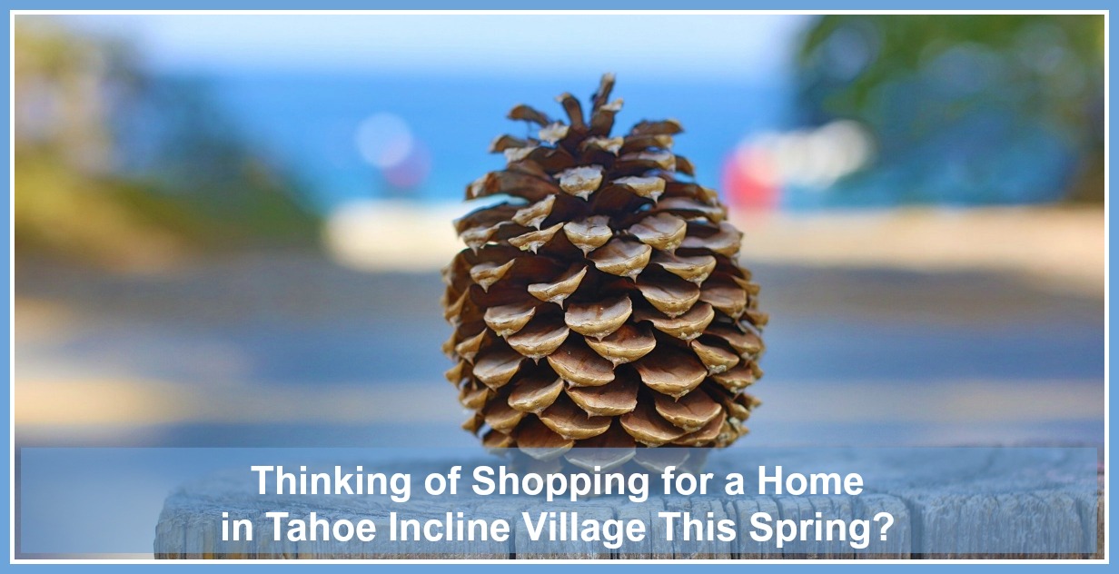 Homes-for-Sale-in-Tahoe-Incline-Village-NV-Feature.jpg