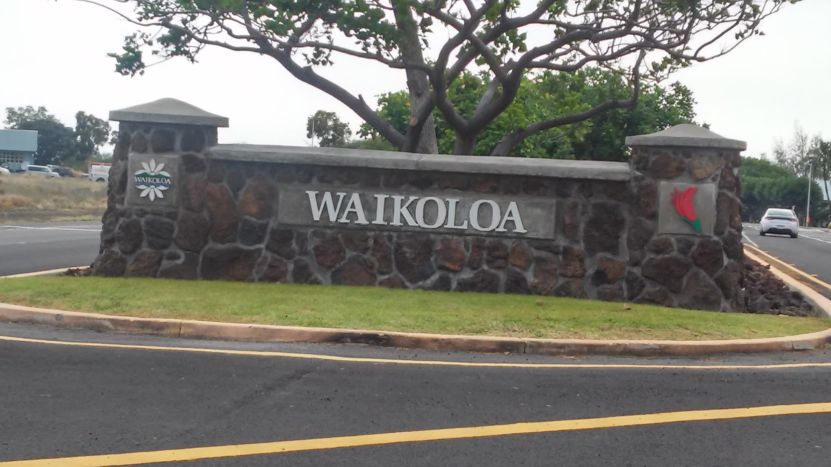 Waikoloa Village Real Estate Market Update