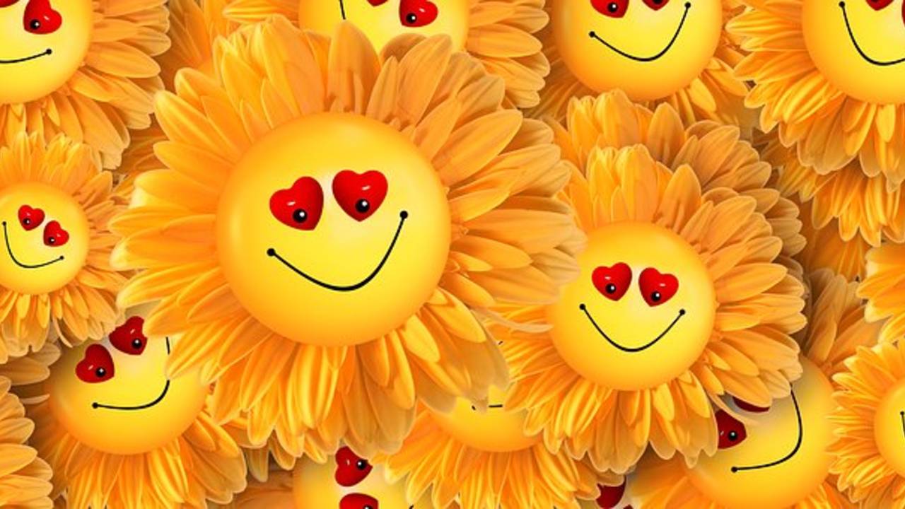 smiley_yellow_flower_faces_image_p.jpg