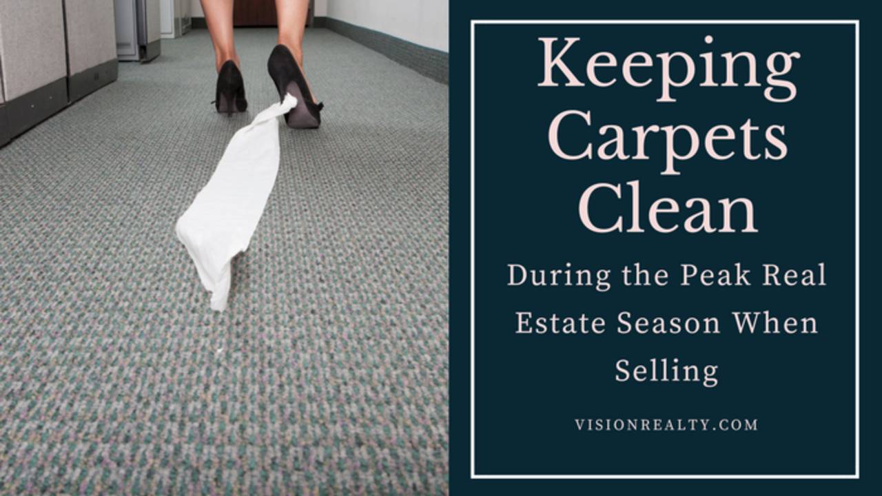 Keeping_Carpets_Clean.png