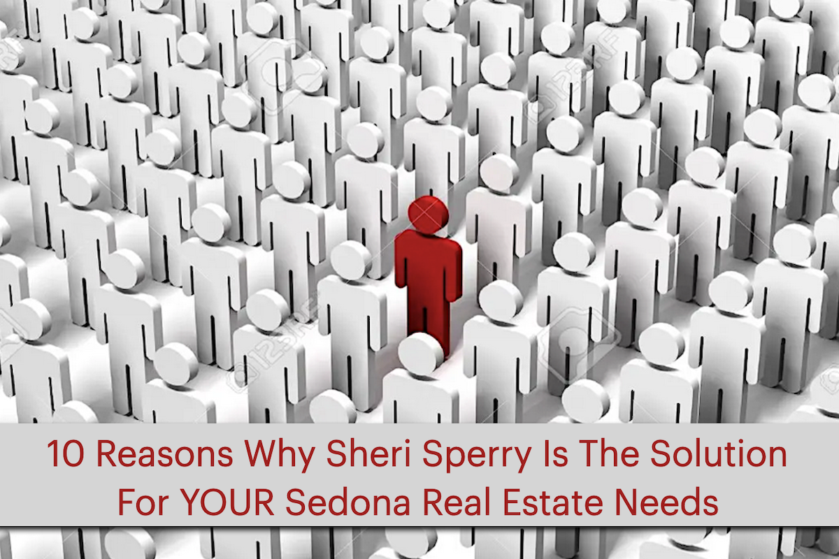 Feature_AR_-_10_Reasons_Why_Sheri_Sperry_Is_Your_Solution.png