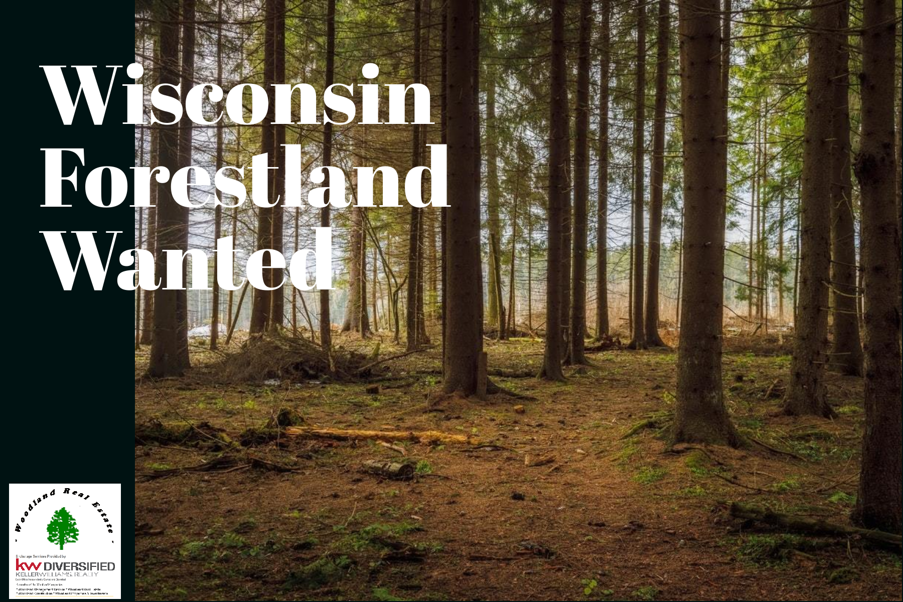Wanted_Wisconsin_Forestland_1800x1200-layout1775-1ggbm9r_1_.png