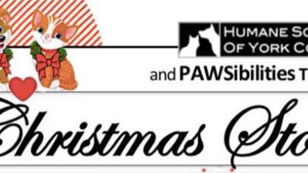 Humane_Society_Of_York_County_Christmas_Store_Banner.jpg