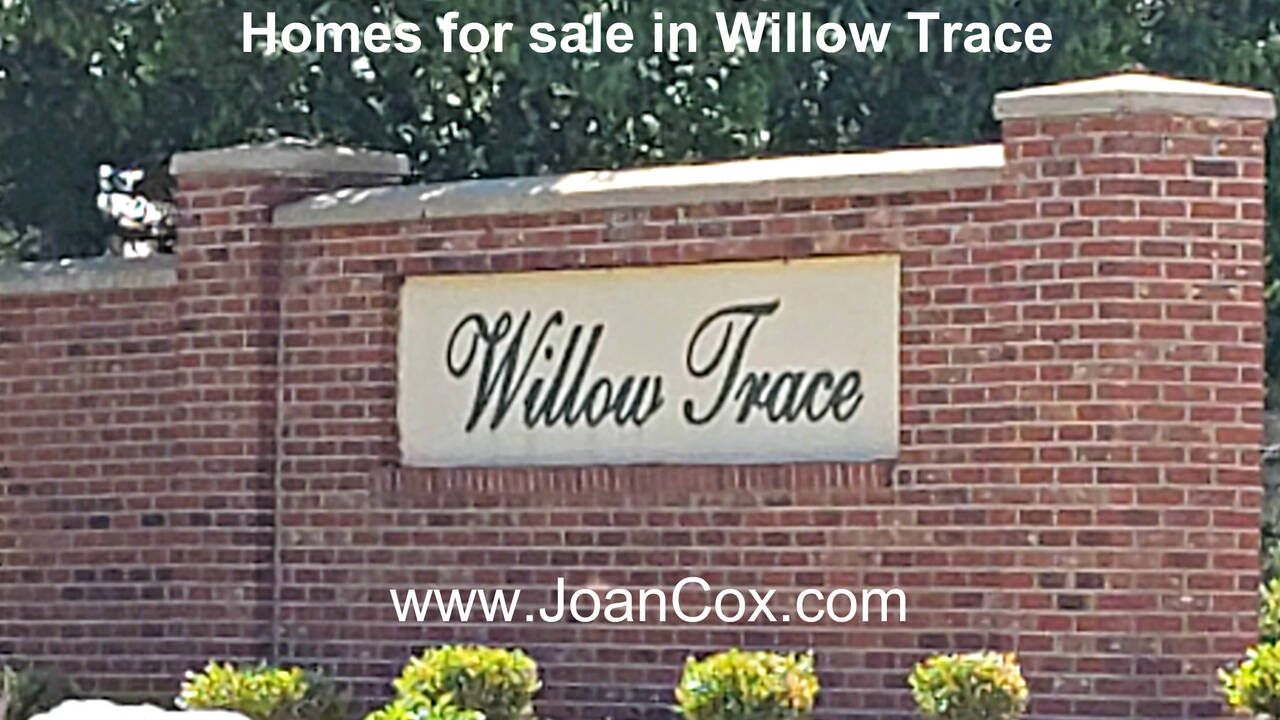 Willow_Trace_for_blogs.jpg