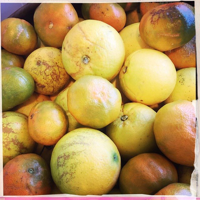 citrus_fruits.jpg
