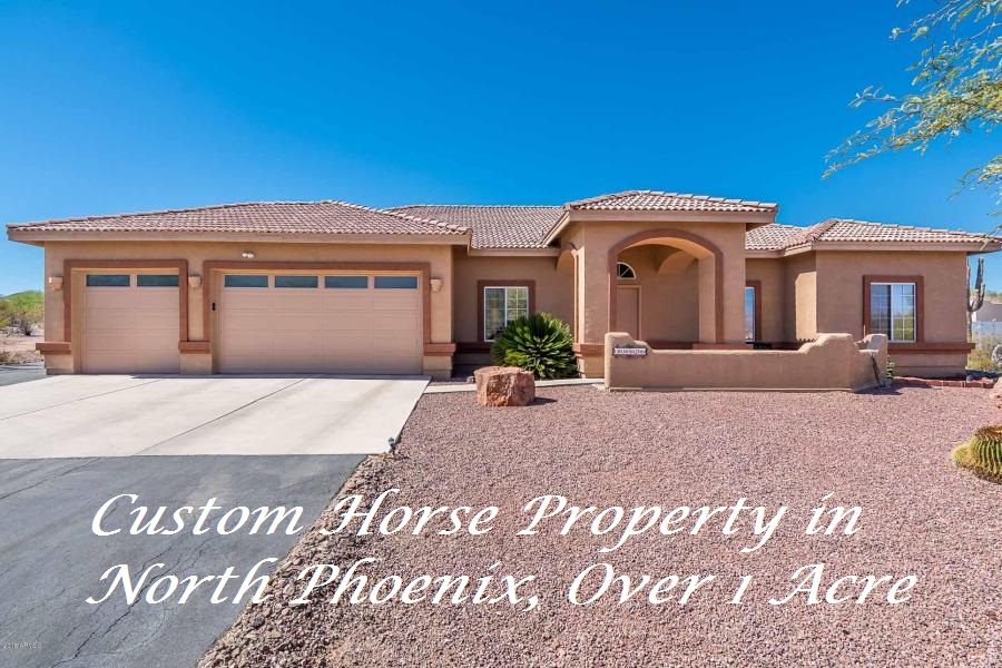 1014) 6 Bedroom 4 Bath Home in Gilbert, Horse Property,