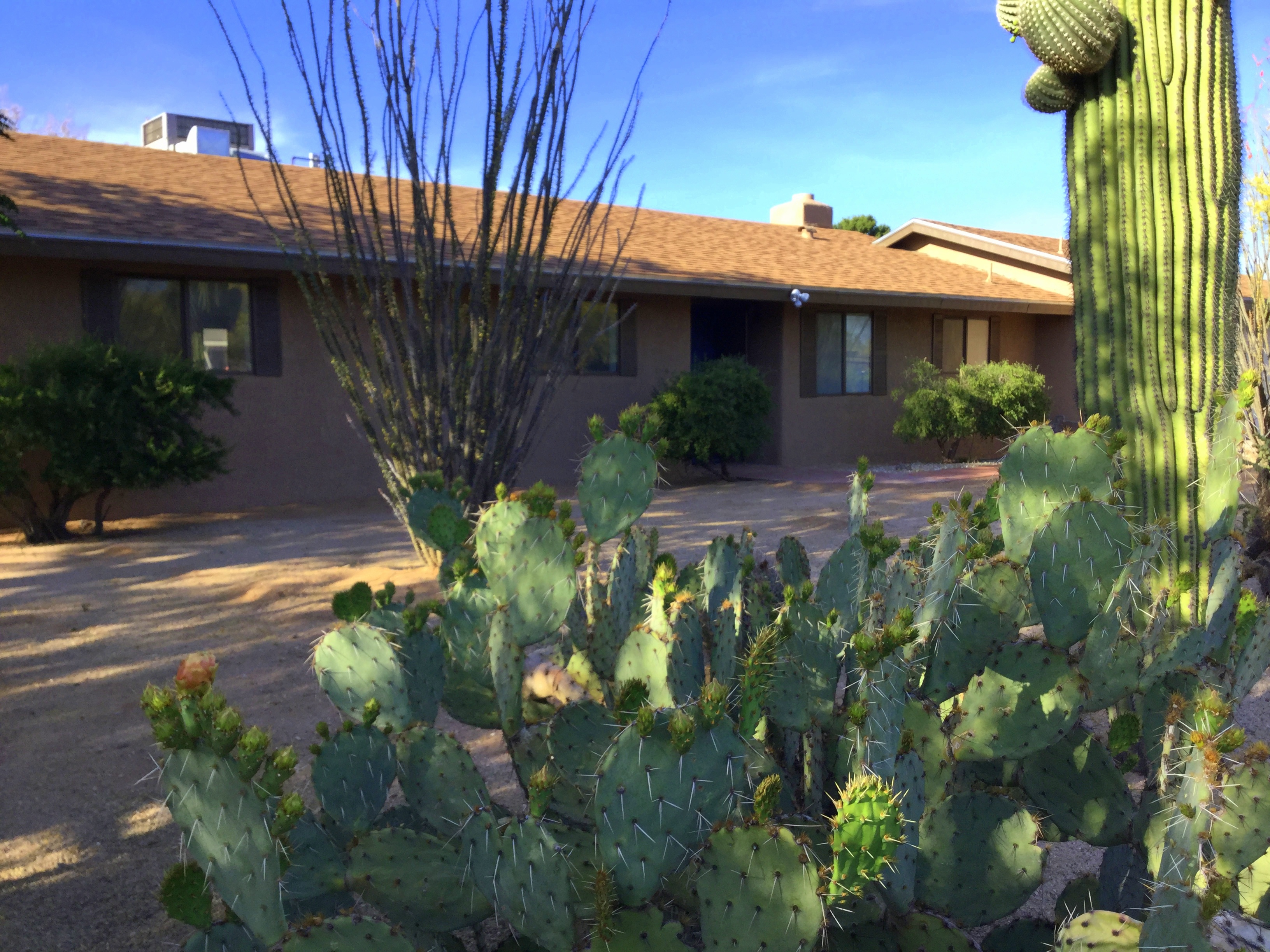 Open House Weekend at Horse Property In NW Tucson
