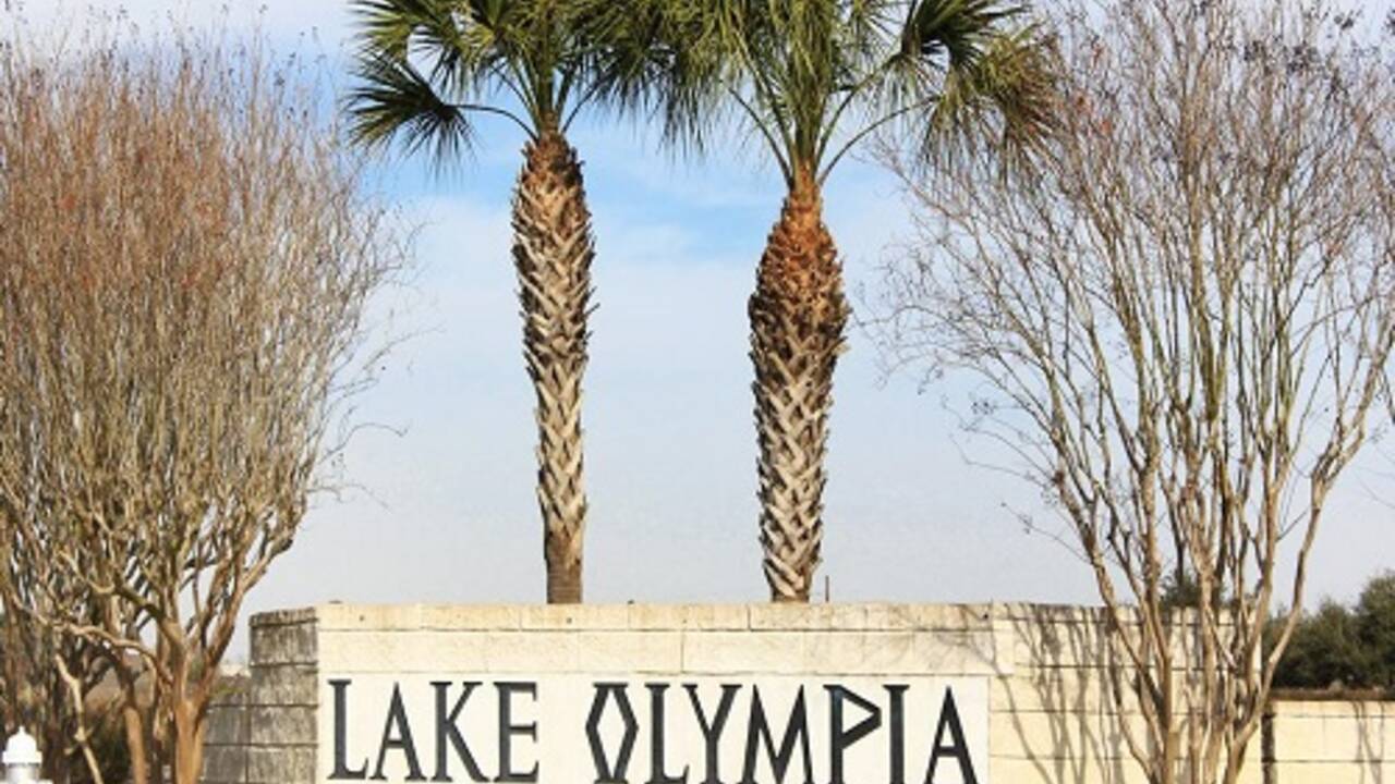 Lakeshore_Forest_At_Lake_Olympia.jpg