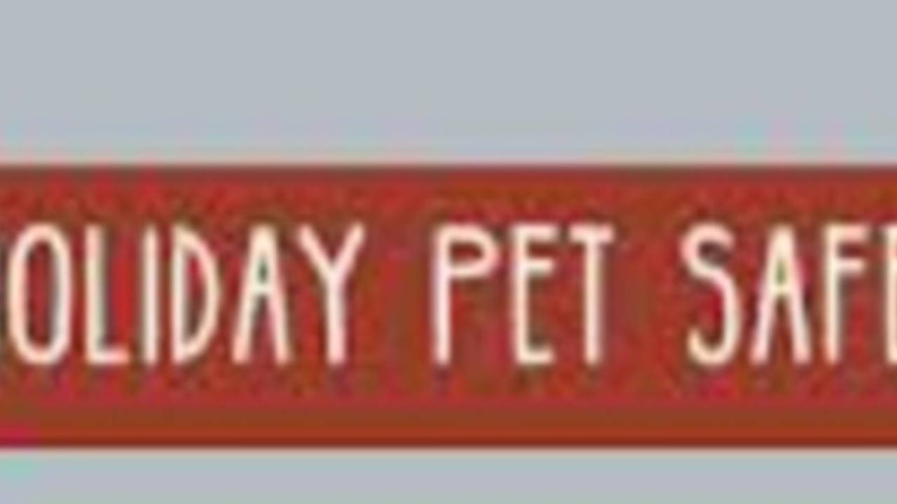 Holiday_Pet_Safety.jpg