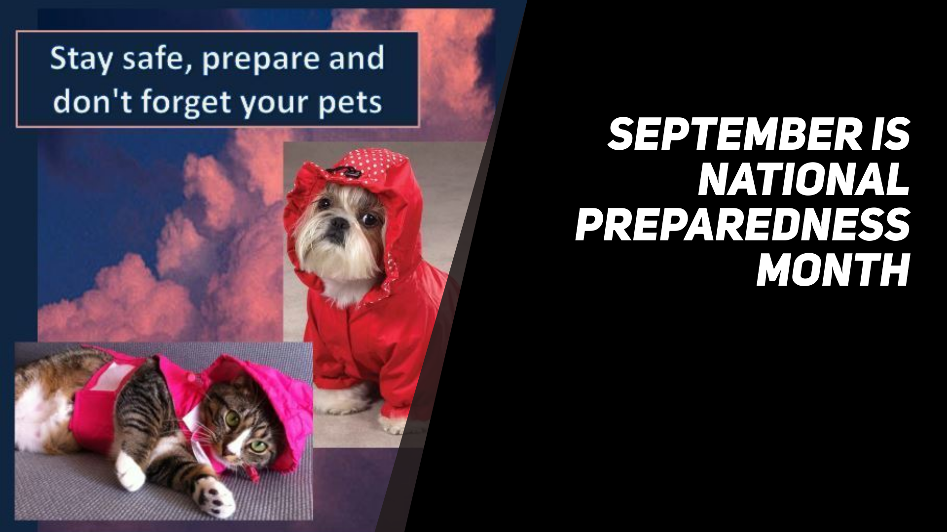 Prepare_For_Your_Pets_During_National_Preparedness_Month.png