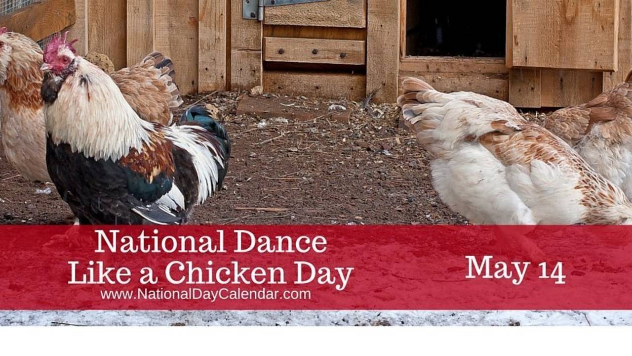 National-Dance-Like-a-Chicken-Day-May-14-image.jpg