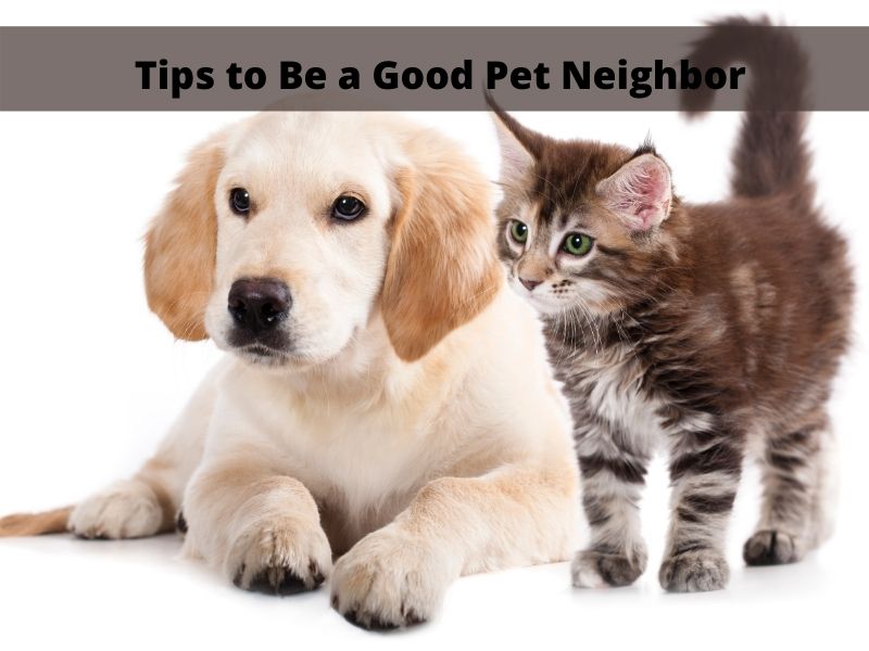 Tips_to_Be_a_Good_Pet_Neighbor.jpg
