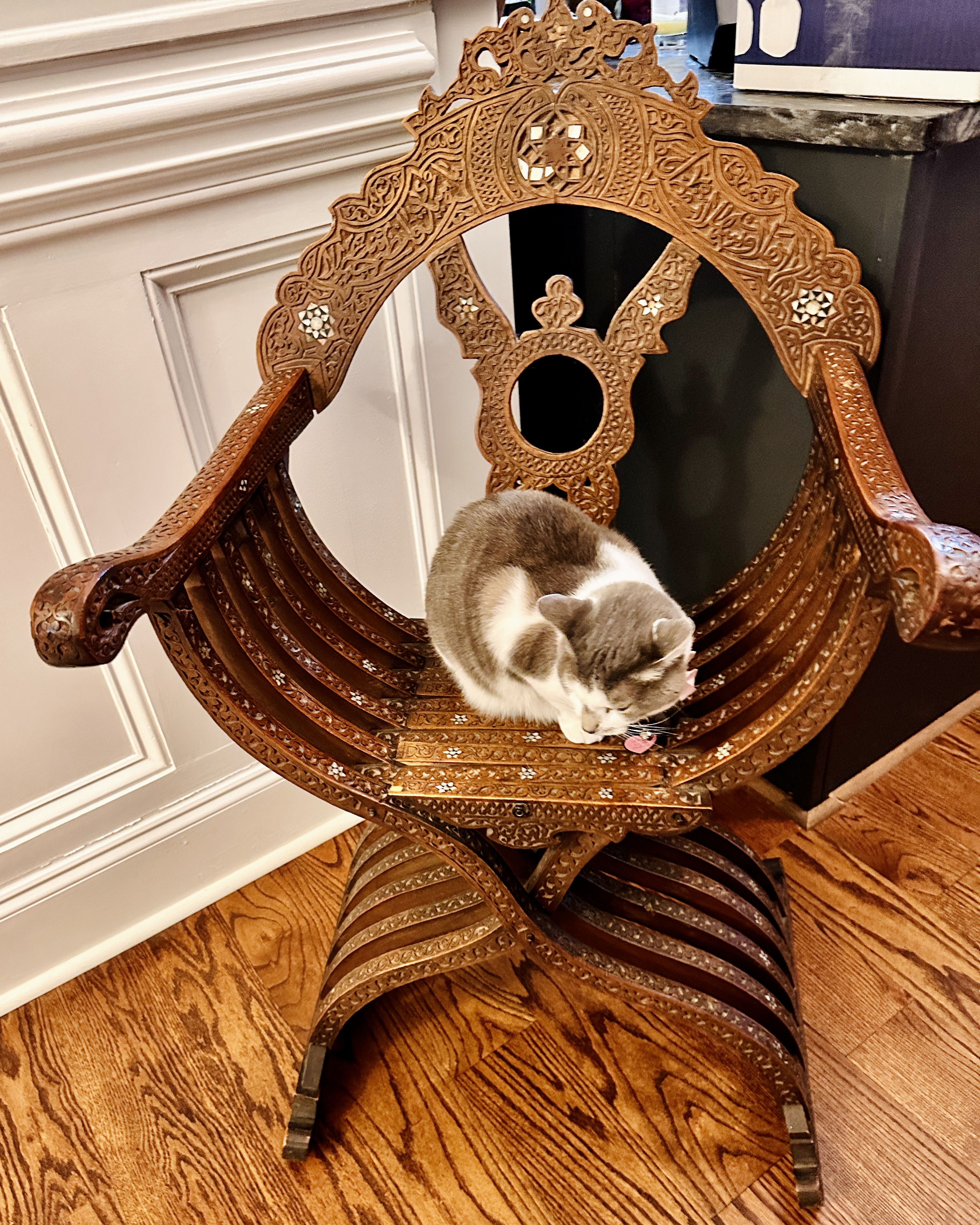 Gracie_in_antique_chair.JPG