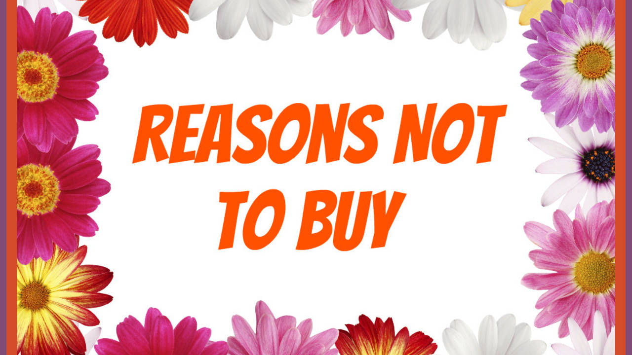 reason_not_to_buy.jpg