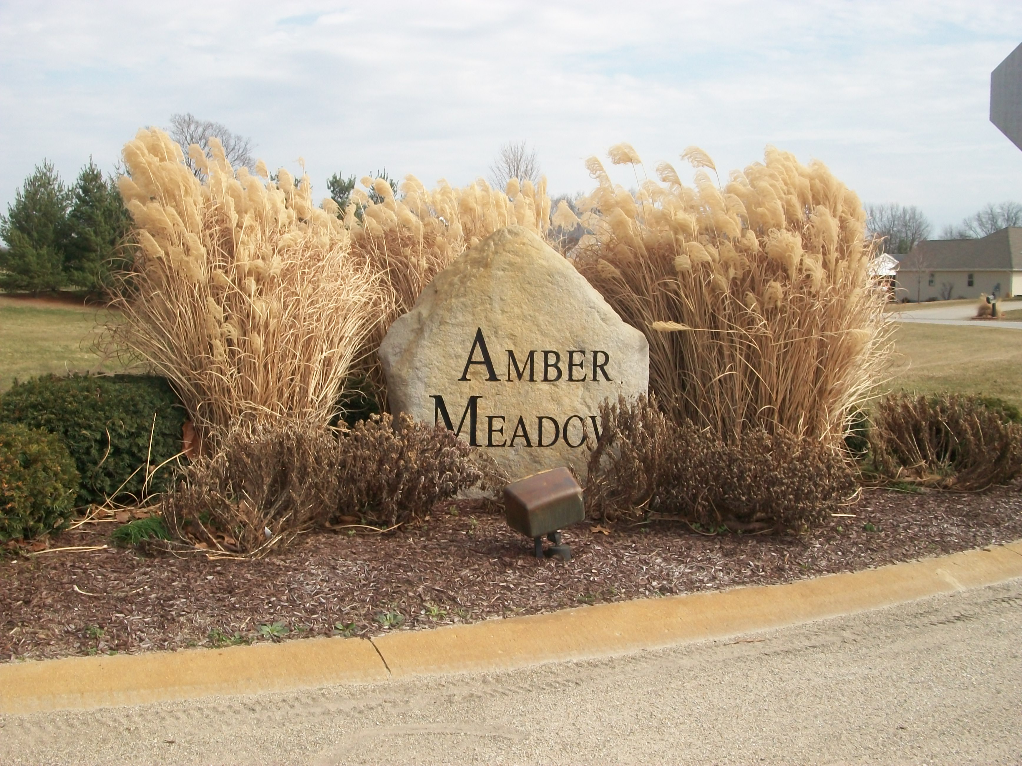 Amber Meadows Home Values