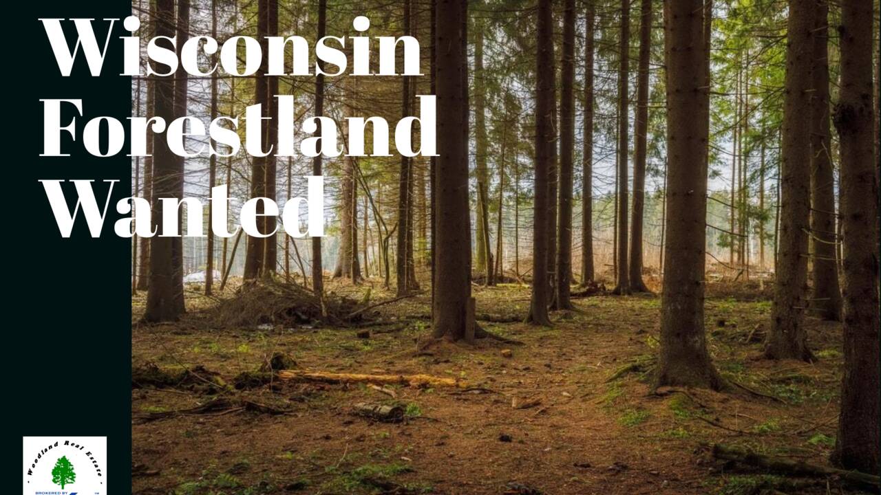 Wanted_Wisconsin_Forestland_1800x1200-layout1775-1ggbm9r_1_.png