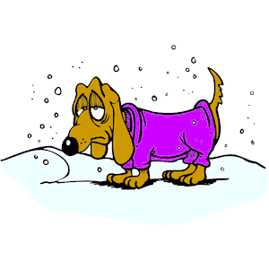 dog_in_snow.png