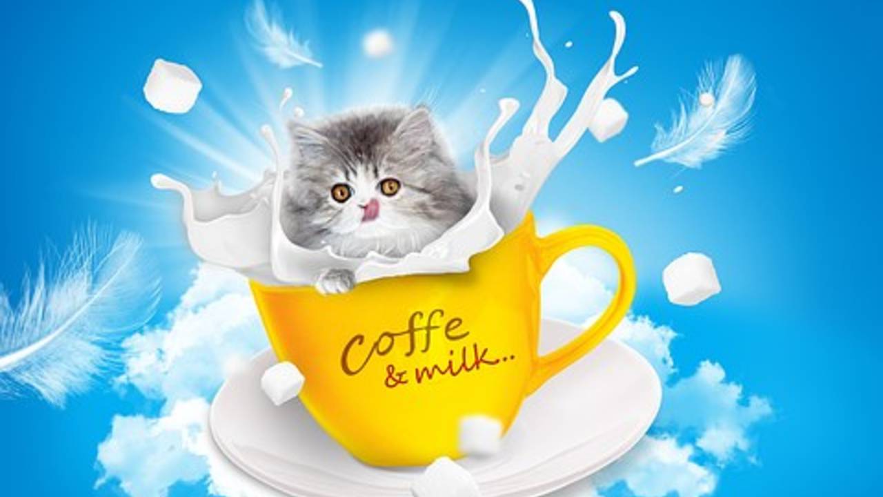 kitty_coffee_cup_image_p.jpg