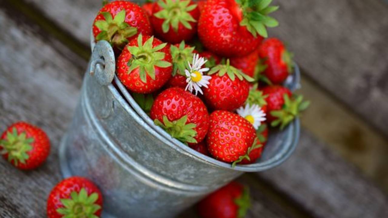 strawberries_pail_image_p.jpg