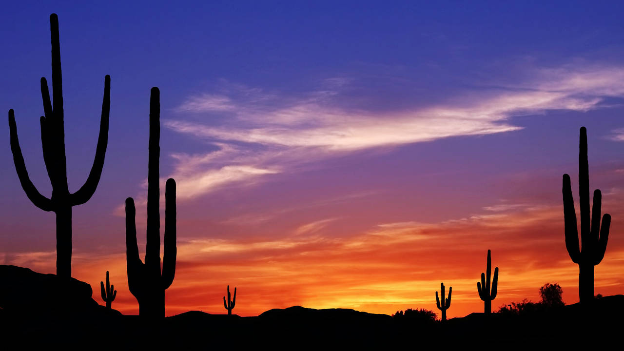 Arizona_Scence_sky_cactus.jpg
