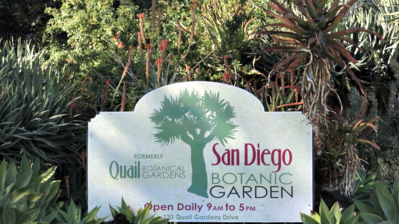 San_Diego_Botanic_Garden_in_Encinitas.jpg