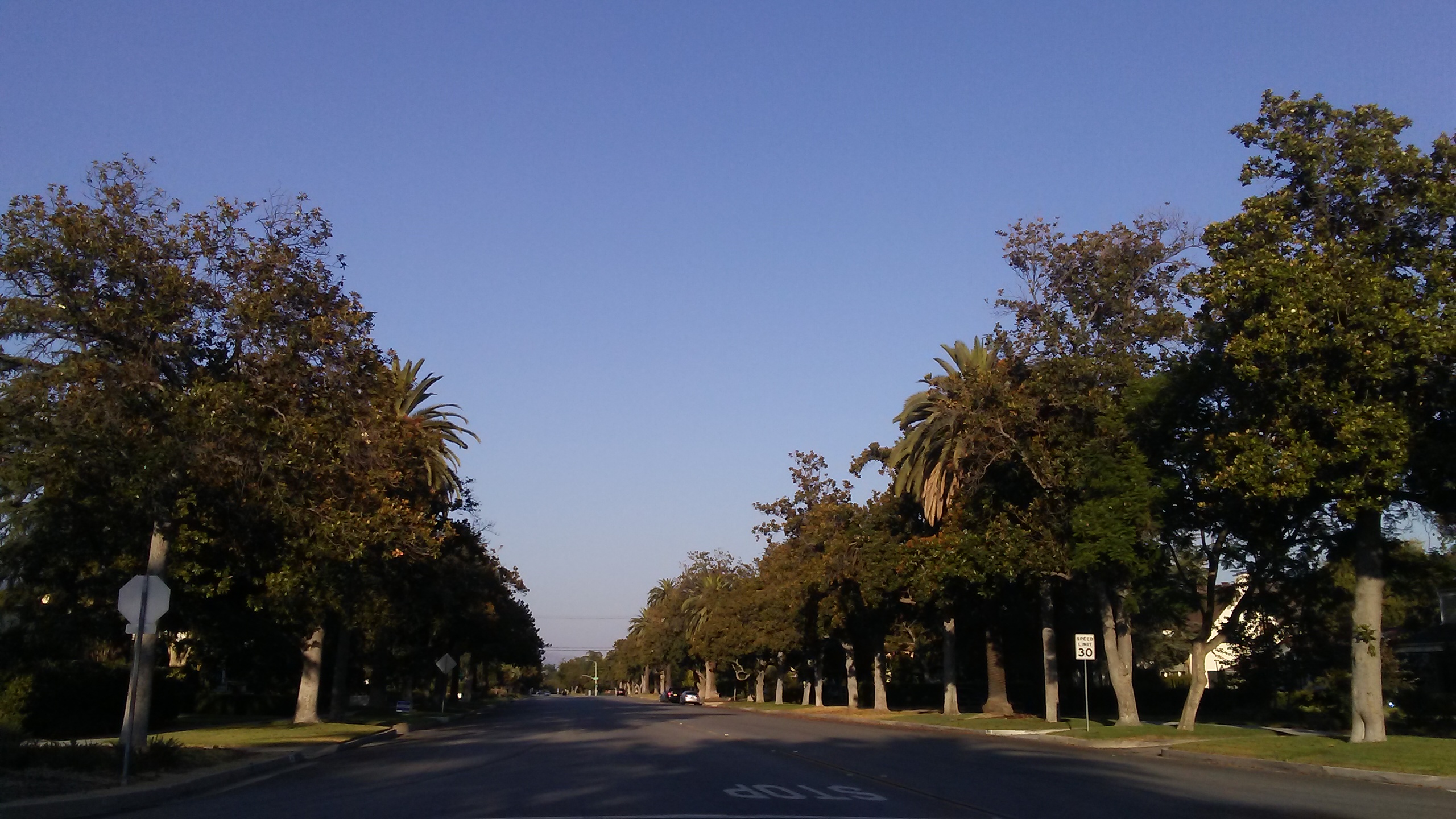 North Pasadena Heights Landmark District Historic Homes