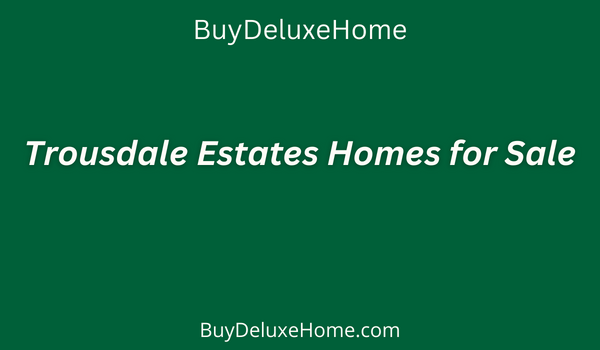 BuyDeluxeHome_Blog_(2).png