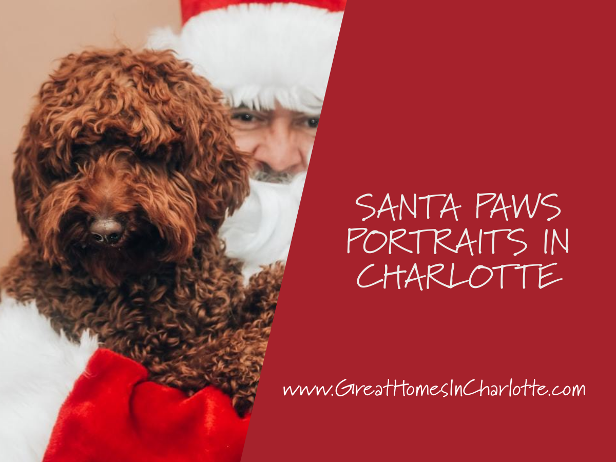 Santa_Paws_Portraits_In_Charlotte.png