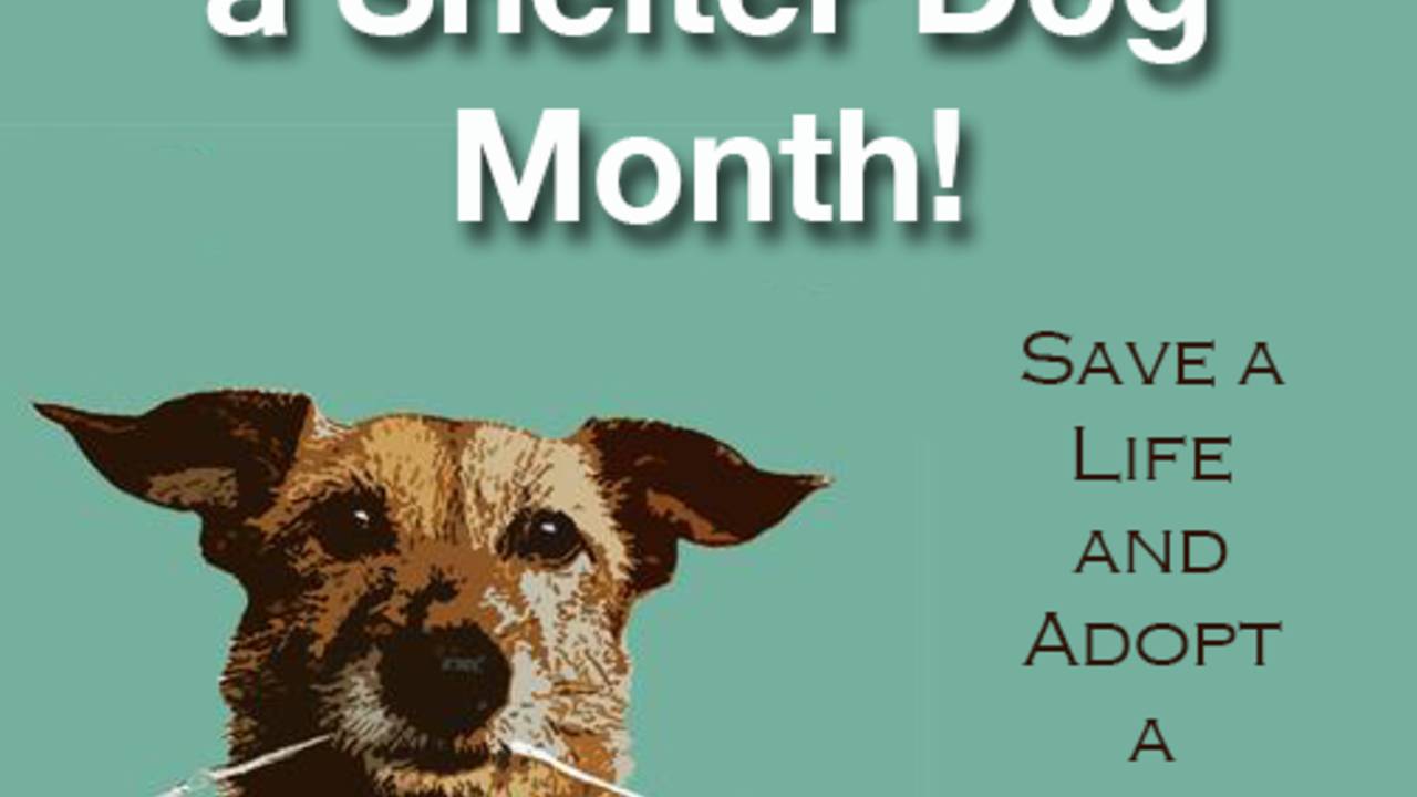 adopt_a_shelter_dog_month.png