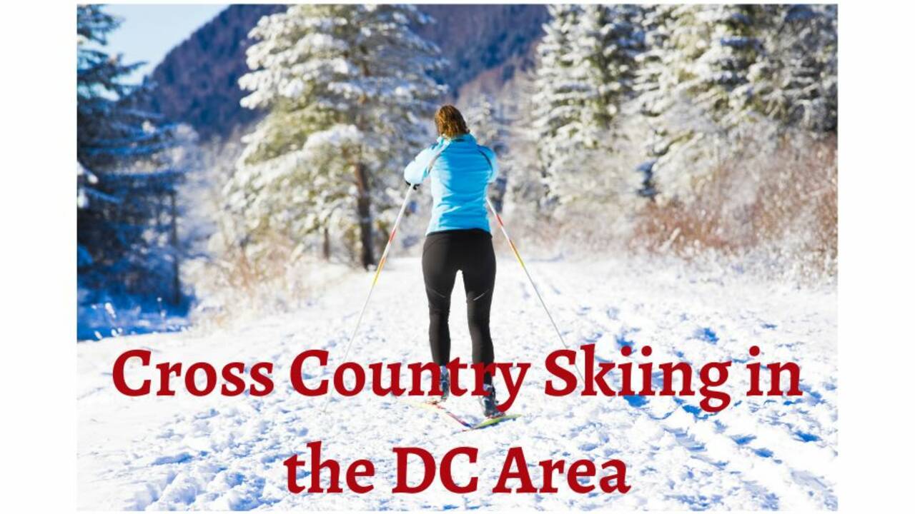 Cross_Country_Skiing_in_the_DC_Area.jpg