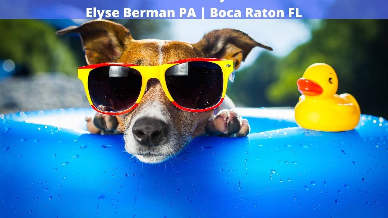 Elyse_Berman_review_pet_friendly_realtor_boca_raton_fl.jpg