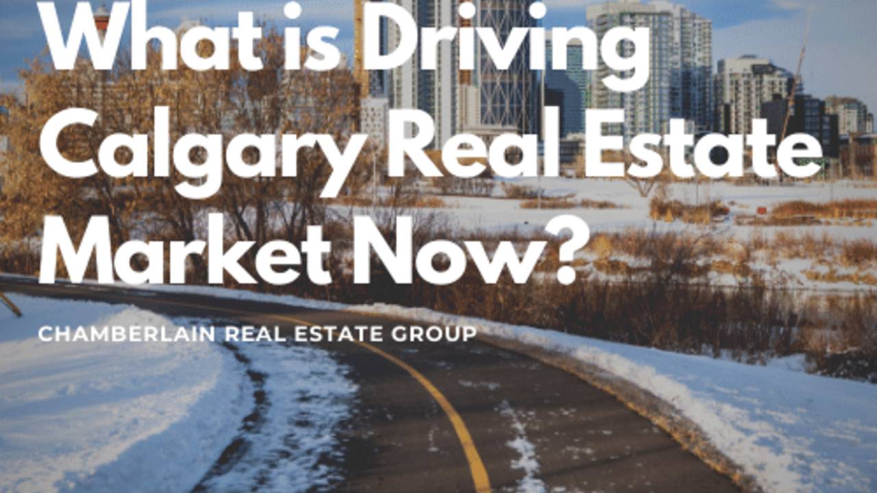 What_is_Driving_Calgary_Real_Estate_Market_Now.png