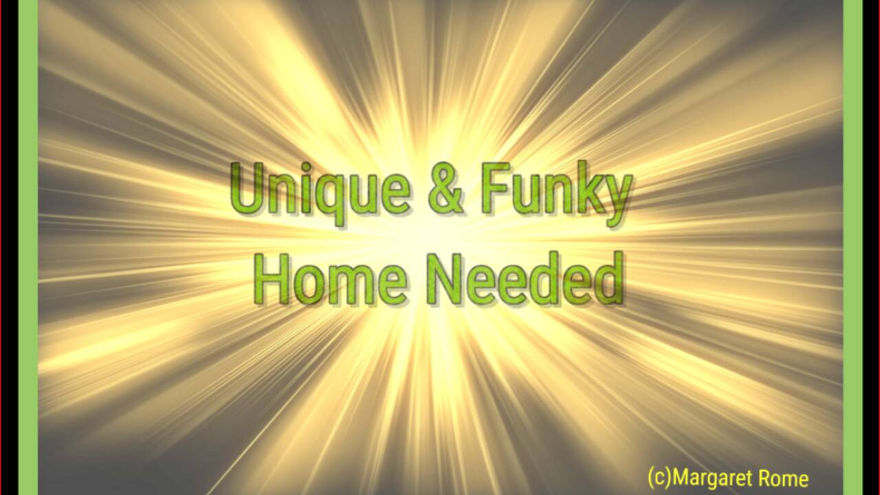 unique_funky_home_needed.PNG