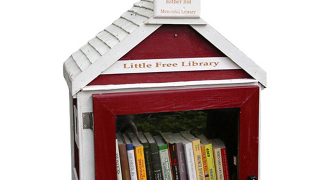 little_free_library_in_Franklin.jpg