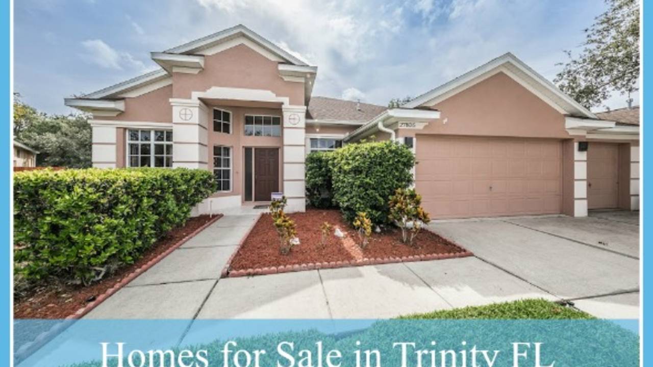 Homes-for-Sale-in-Trinity-FL-Featured-Image.jpg
