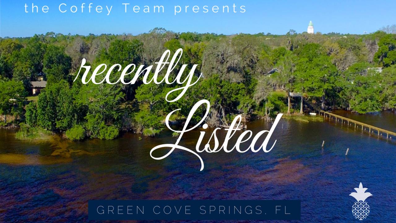 3-Hammock-Ln-Green-Cove-Springs-FL-32043-Waterfornt-Lot-for-Sale.png