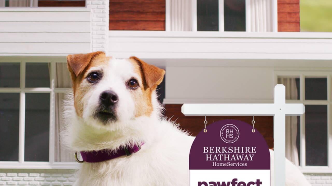 pawfect_home_berkshire_hathaway_homeservices_sweepstakes.png
