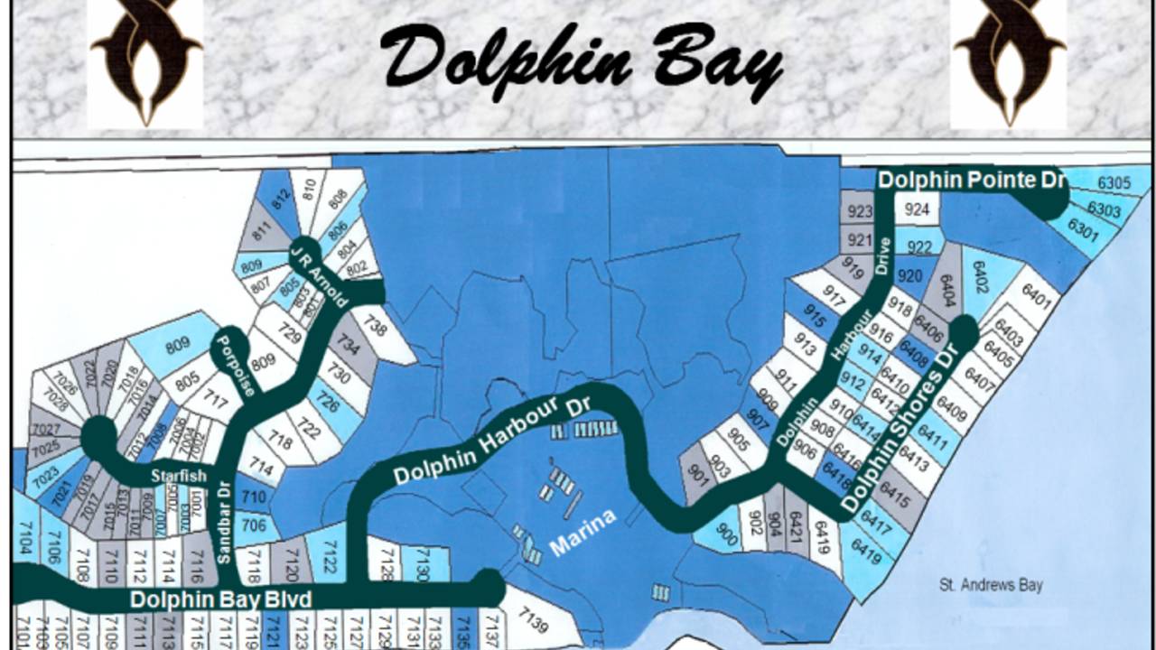 dolphin-bay.jpg
