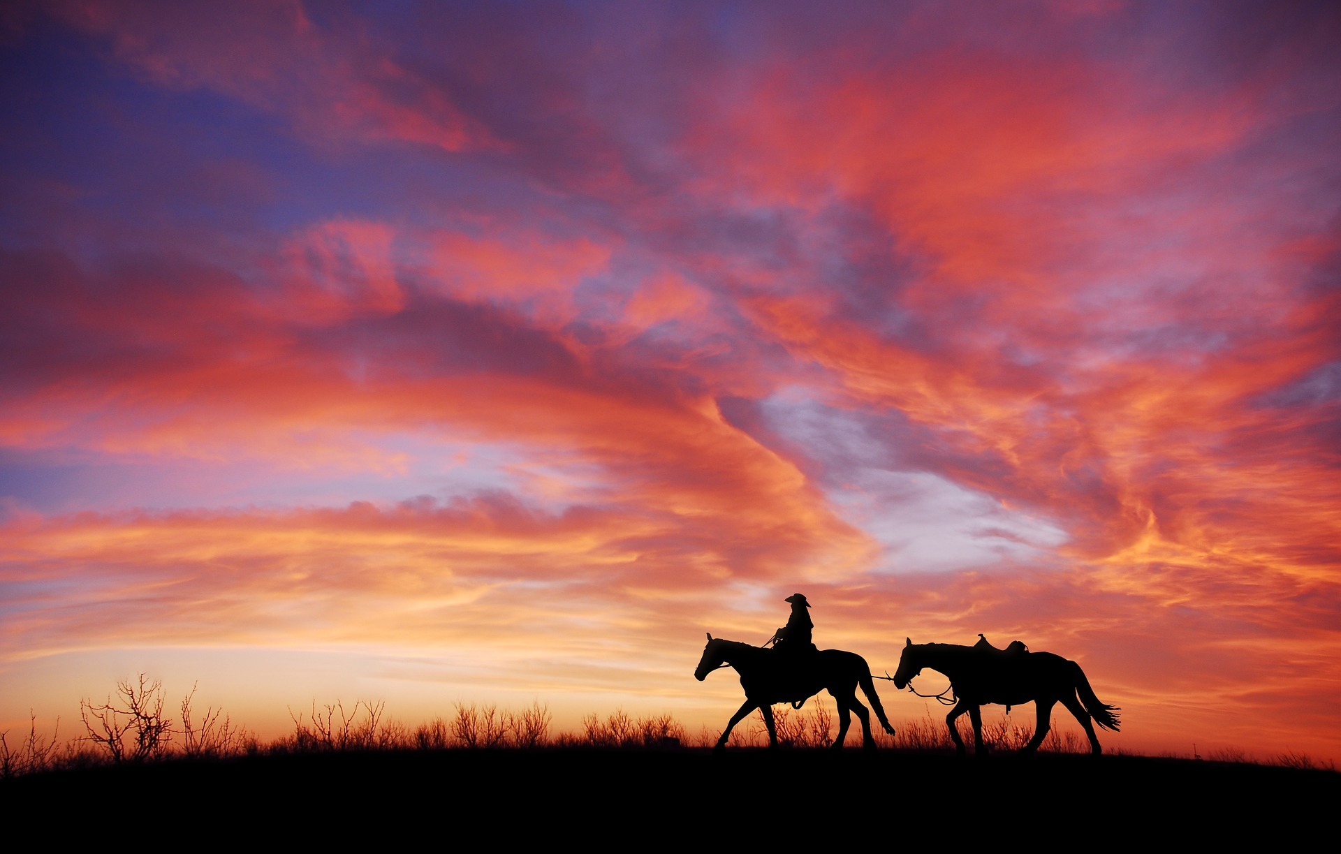 Cowboy_leading_horse_sunset_Pixabay.jpg