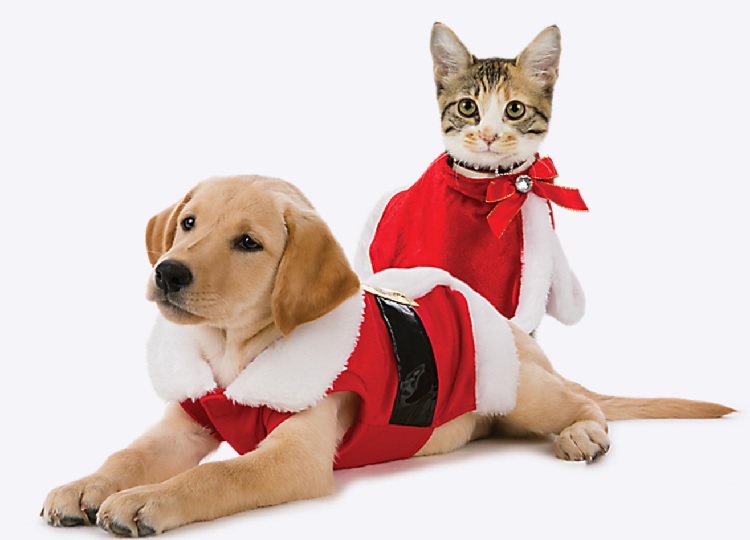 Santa Visits PetSmart This Weekend In Ballantyne, NC
